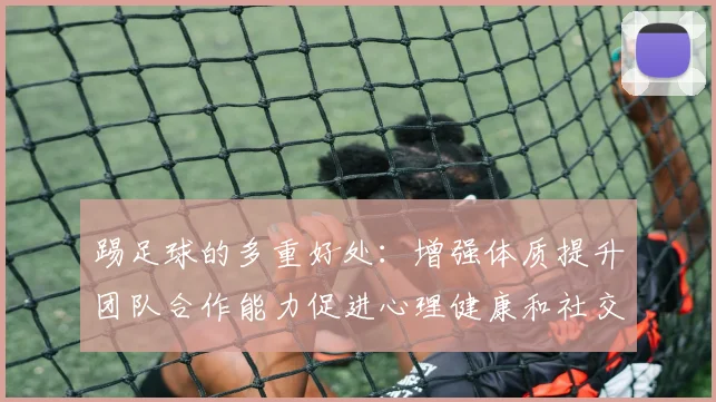 踢足球的多重好处：增强体质提升团队合作能力促进心理健康和社交技巧