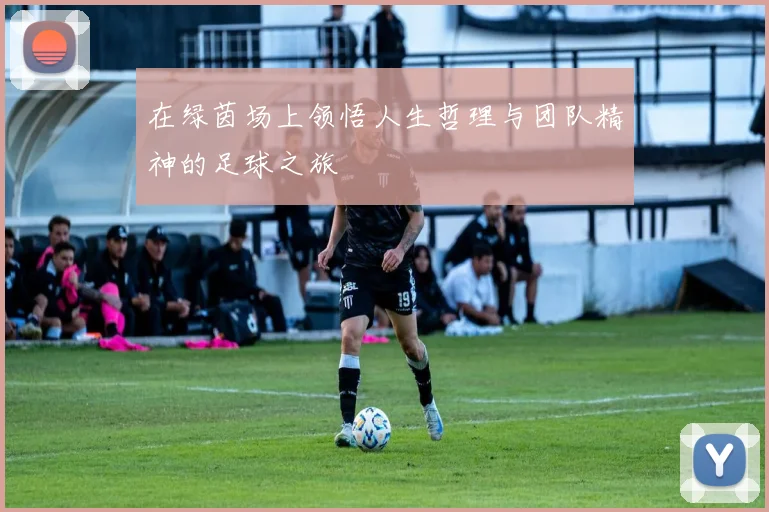 在绿茵场上领悟人生哲理与团队精神的足球之旅