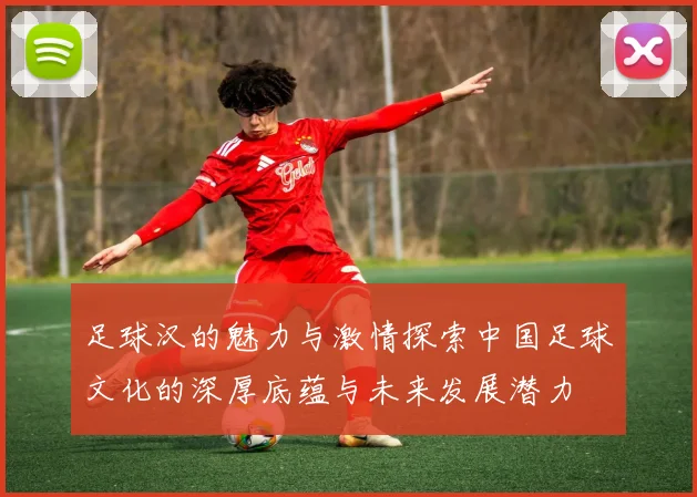 足球汉的魅力与激情探索中国足球文化的深厚底蕴与未来发展潜力
